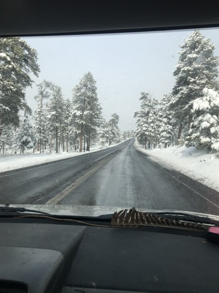 On the road in Arches National Park