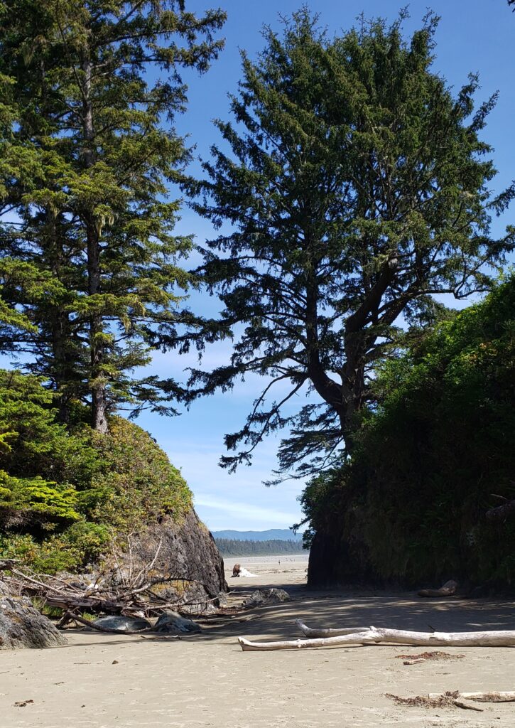 long beach in pacific rim national park reserve on vancouver island, bc