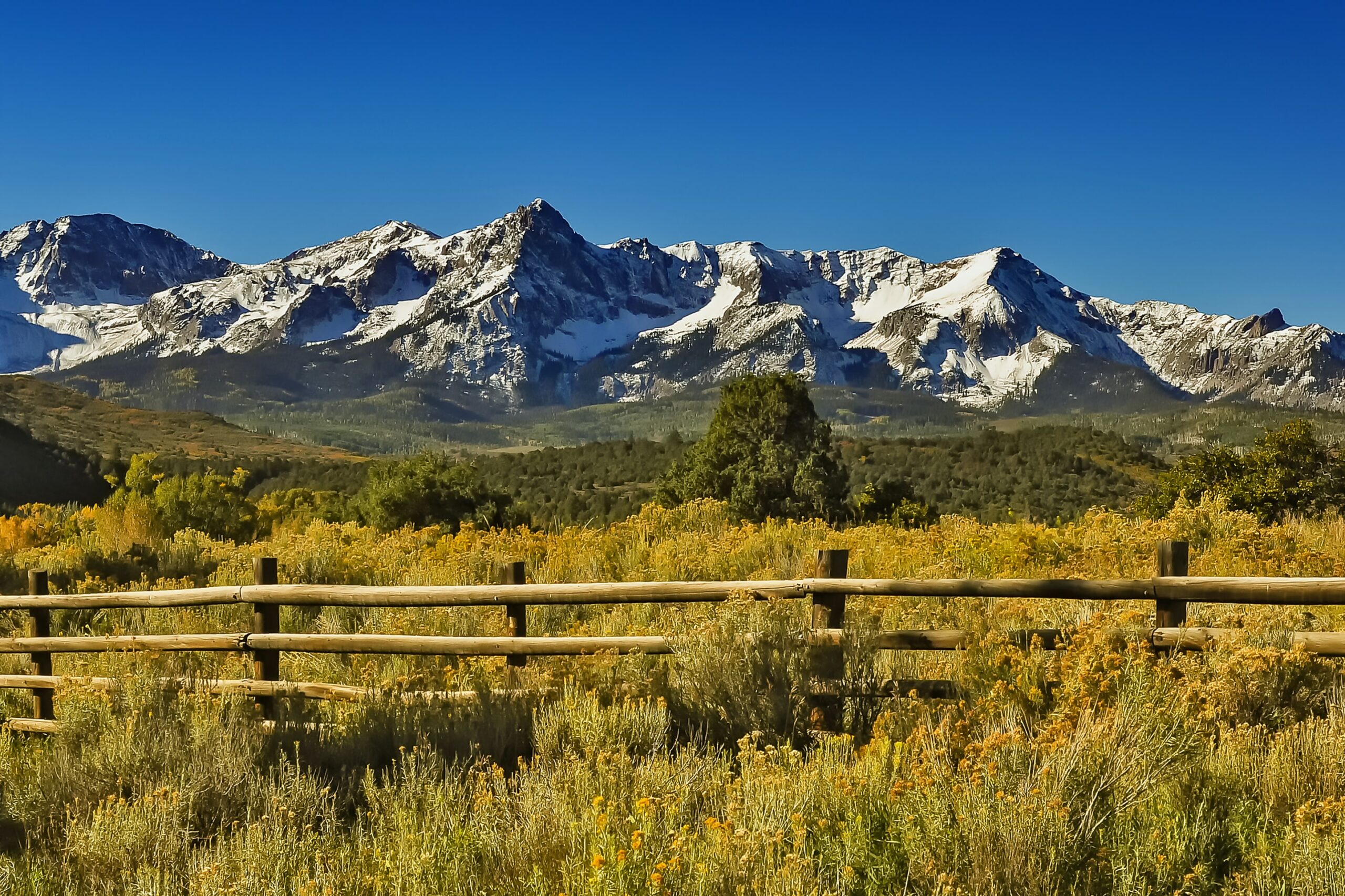 colorado trail in the san juan mountain range