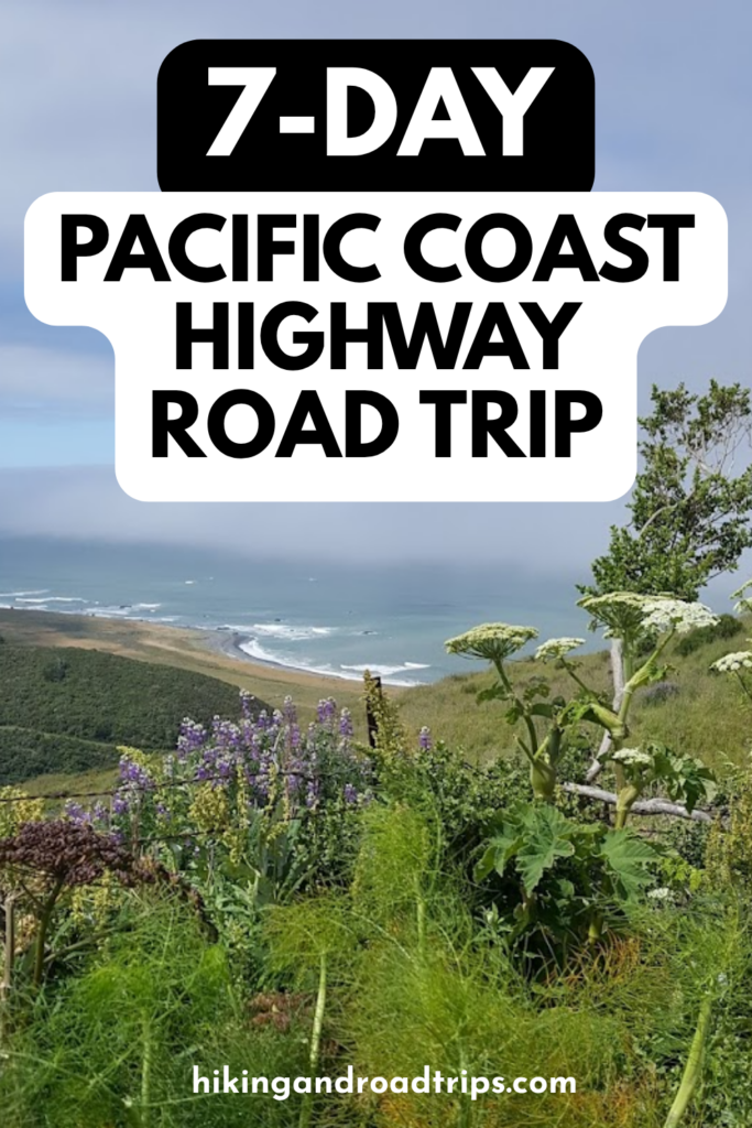 The ultimate 7-day Pacific Coast Highway road trip