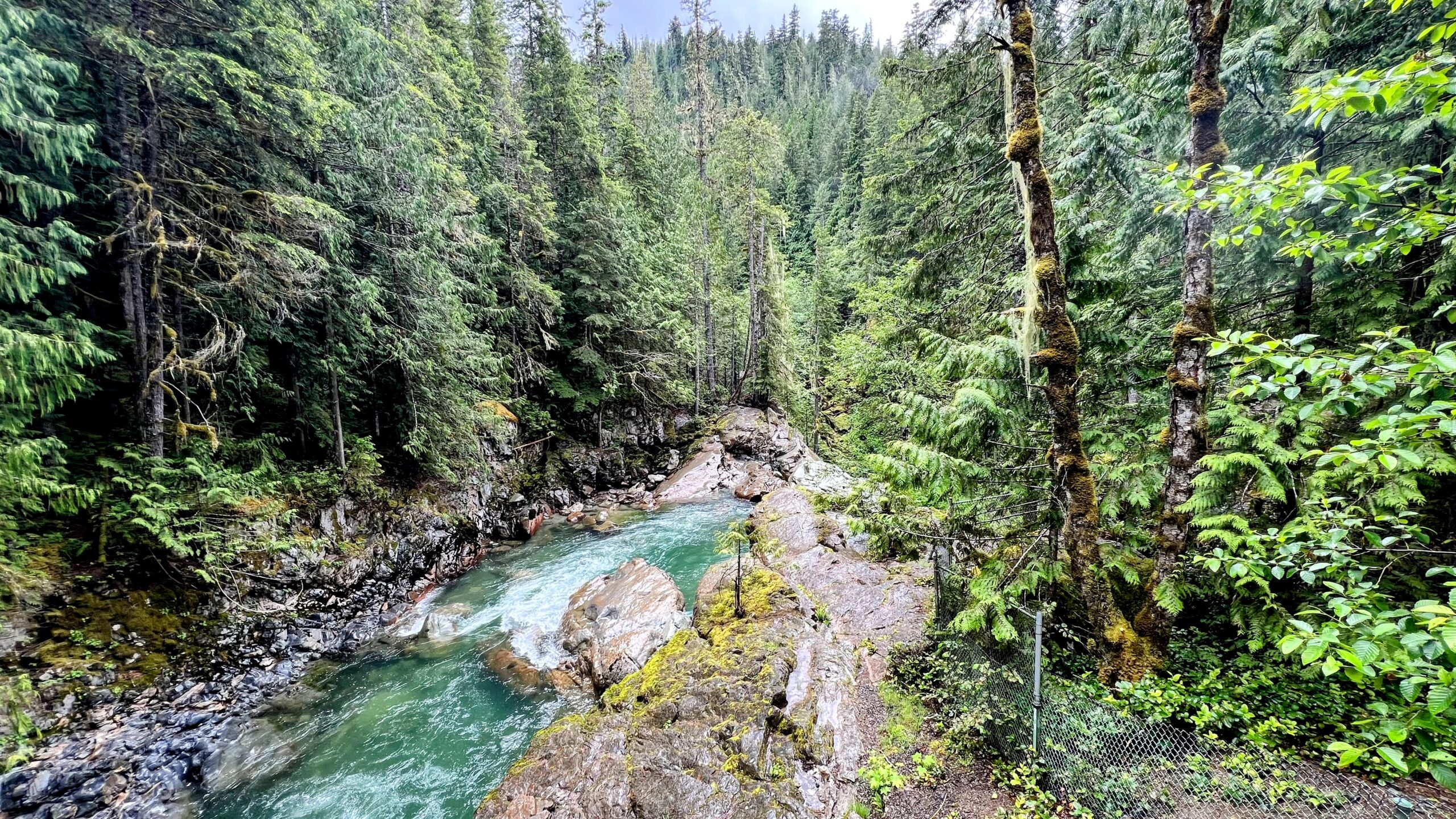 Image of Nooksack Falls