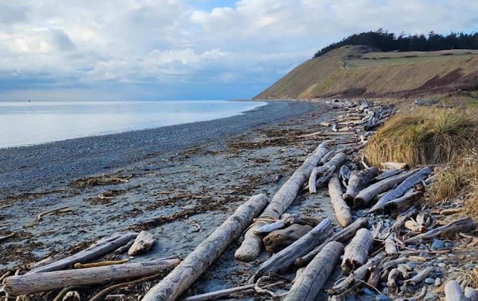 Image of Ebey's Landing beach right of parking lot
